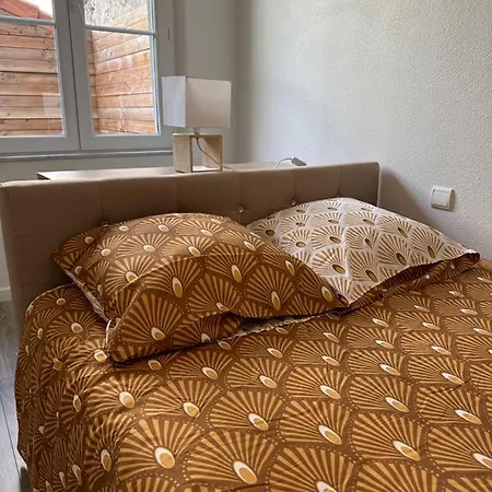 Avec Terrasse Au Puy *